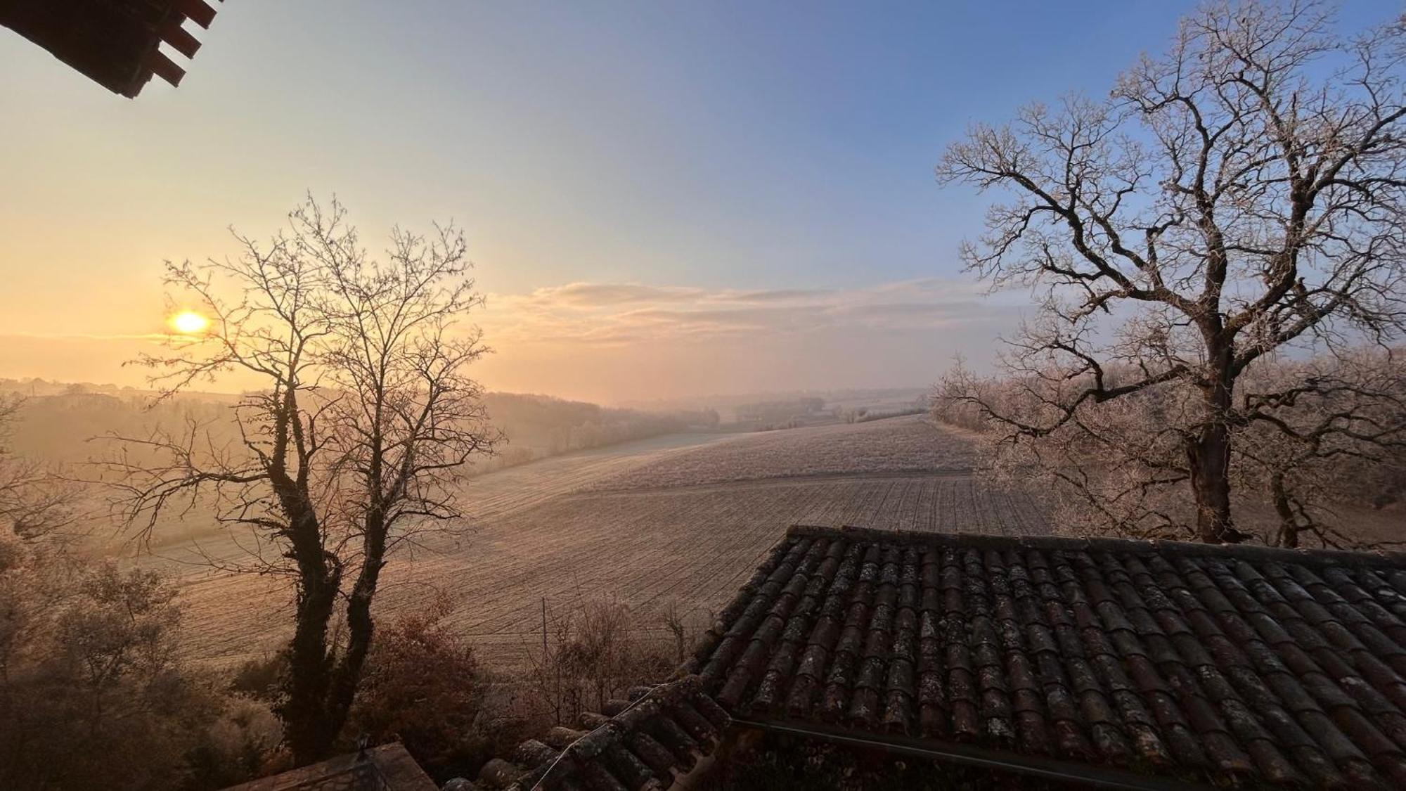 Chambres D'Hotes Dans Un Chateau Au Coeur De La Toscane Occitane Albi-Cordes-Rabastens Senouillac エクステリア 写真